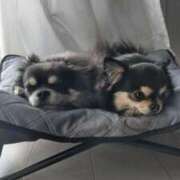 ヒメ日記 2026/03/02 12:40 投稿 ゆあ FAIRY Fukuoka Nakasu