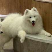 ヒメ日記 2026/03/27 22:33 投稿 ゆあ FAIRY Fukuoka Nakasu