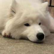 ヒメ日記 2026/03/28 13:13 投稿 ゆあ FAIRY Fukuoka Nakasu