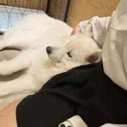 ヒメ日記 2026/03/29 16:13 投稿 ゆあ FAIRY Fukuoka Nakasu