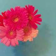 ヒメ日記 2025/03/15 07:44 投稿 菊池絃 五十路マダム 愛されたい熟女たち 高松店