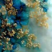 ヒメ日記 2025/05/10 09:44 投稿 菊池絃 五十路マダム 愛されたい熟女たち 高松店