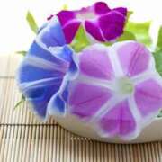 ヒメ日記 2025/07/09 07:26 投稿 菊池絃 五十路マダム 愛されたい熟女たち 高松店