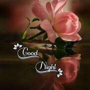 ヒメ日記 2025/08/07 02:22 投稿 菊池絃 五十路マダム 愛されたい熟女たち 高松店