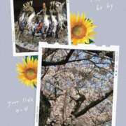 ヒメ日記 2026/04/08 07:04 投稿 菊池絃 五十路マダム 愛されたい熟女たち 高松店