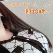 ヒメ日記 2025/03/17 09:05 投稿 しずな ぷるるんギャング