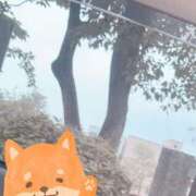 ヒメ日記 2025/06/21 10:38 投稿 新人Himari LovingTouch（ラビングタッチ）