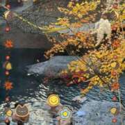 ヒメ日記 2025/11/18 10:06 投稿 相川 昼顔妻 五反田店