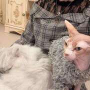 ヒメ日記 2025/03/24 07:30 投稿 りせ 11チャンネル