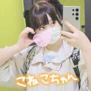 ヒメ日記 2025/04/04 15:15 投稿 つばさ 逆バニーメンズエステ とろとろオイルSPA