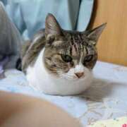 ヒメ日記 2025/04/25 20:45 投稿 つばさ 逆バニーメンズエステ とろとろオイルSPA