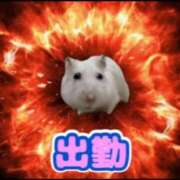 ヒメ日記 2025/06/27 17:15 投稿 つばさ 逆バニーメンズエステ とろとろオイルSPA