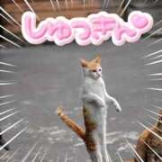 ヒメ日記 2025/06/28 14:13 投稿 つばさ 逆バニーメンズエステ とろとろオイルSPA