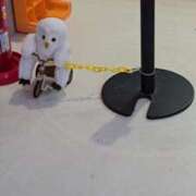 ヒメ日記 2025/07/15 20:46 投稿 つばさ 逆バニーメンズエステ とろとろオイルSPA