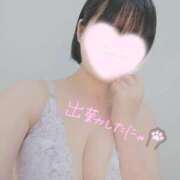 ヒメ日記 2026/04/05 18:30 投稿 つばさ 逆バニーメンズエステ とろとろオイルSPA