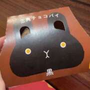 ヒメ日記 2025/10/15 19:01 投稿 小川めい 多恋人倶楽部