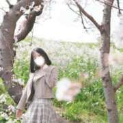 みもざ 主婦なみもざさん ラブライフ所沢川越