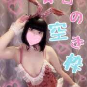 ヒメ日記 2026/09/04 14:14 投稿 みもざ Love Life(ラブライフ) 池袋店