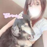 ヒメ日記 2025/12/01 23:11 投稿 ニコリ 千葉美女革命