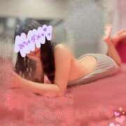 ヒメ日記 2025/05/05 10:15 投稿 たまき CECIL