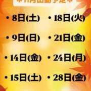 たまき 働いて働いて働いてまいります CECIL