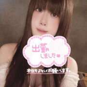 ヒメ日記 2025/05/06 09:19 投稿 わらび ハピネス札幌