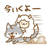 ヒメ日記 2025/11/10 11:03 投稿 わらび ハピネス札幌