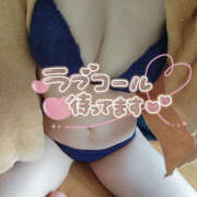 ヒメ日記 2025/11/11 09:03 投稿 わらび ハピネス札幌