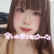 ヒメ日記 2025/11/11 17:23 投稿 わらび ハピネス札幌