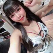 ヒメ日記 2026/04/17 14:56 投稿 ♡コハネ MEGA PALACE(メガパレス）