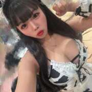 ヒメ日記 2026/07/31 20:33 投稿 ♡コハネ MEGA PALACE(メガパレス）