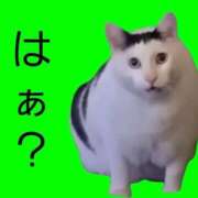 ヒメ日記 2026/08/02 12:23 投稿 ♡コハネ MEGA PALACE(メガパレス）