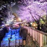 ヒメ日記 2026/04/03 18:33 投稿 まりあ 熟女の風俗最終章 西川口店