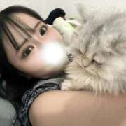 ヒメ日記 2025/07/15 18:30 投稿 あんじゅ 浜松ハンパじゃない学園