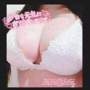 ヒメ日記 2025/03/16 13:43 投稿 みい Ace(エース)