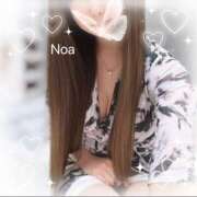 ヒメ日記 2026/01/17 14:27 投稿 藤埼 乃愛 CASA BIANCA（カーサ・ビアンカ）