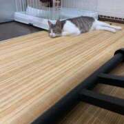 ヒメ日記 2025/04/26 23:35 投稿 プリン Club Hearts