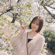 ヒメ日記 2026/04/08 08:32 投稿 聖れん LUXE(リュクス)