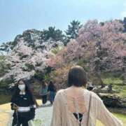 ヒメ日記 2026/04/27 19:52 投稿 聖れん LUXE(リュクス)