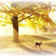 みひろ みひろです? 人妻小旅行～神奈川県央編