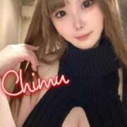 ヒメ日記 2025/03/30 11:49 投稿 ちむ ニューティアラ