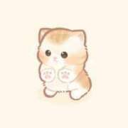 ヒメ日記 2025/03/29 18:22 投稿 けい【可愛すぎる女子大生】 STELLA TOKYO－ステラトウキョウ－