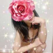 ヒメ日記 2025/05/08 09:14 投稿 ちか 吉祥寺ミセス・シンデレラ（シンデレラグループ）