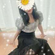 ヒメ日記 2025/07/17 09:14 投稿 ちか 吉祥寺ミセス・シンデレラ（シンデレラグループ）