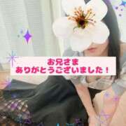 ヒメ日記 2025/07/17 15:09 投稿 ちか 吉祥寺ミセス・シンデレラ（シンデレラグループ）