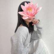 ヒメ日記 2026/02/18 19:31 投稿 ちか 吉祥寺ミセス・シンデレラ（シンデレラグループ）