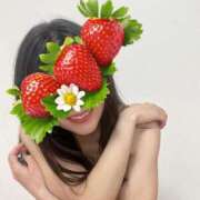 ヒメ日記 2026/03/31 19:01 投稿 ちか 吉祥寺ミセス・シンデレラ（シンデレラグループ）