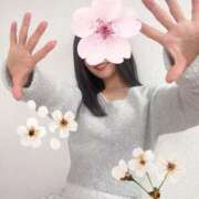 ヒメ日記 2026/04/02 08:31 投稿 ちか 吉祥寺ミセス・シンデレラ（シンデレラグループ）