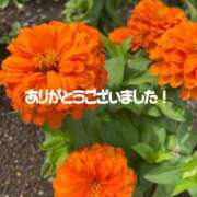 ヒメ日記 2026/06/29 23:58 投稿 ちか 吉祥寺ミセス・シンデレラ（シンデレラグループ）