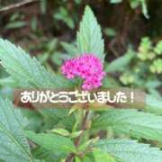 ヒメ日記 2026/07/16 23:59 投稿 ちか 吉祥寺ミセス・シンデレラ（シンデレラグループ）